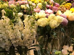 -花未央花店·WEYOUNG