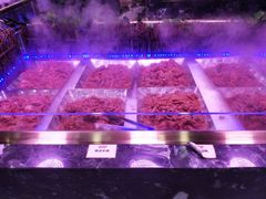 -炭烤麻里·臻选自助烤肉料理(观音桥大融城店)