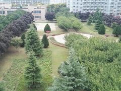 -小李旗花面庄