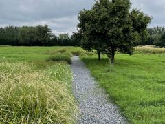 -汉长安城未央宫国家考古遗址公园