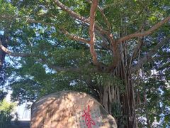 -乌山风景区