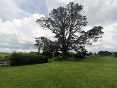 -霍比特人村
