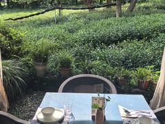 -野蔓果·山野菜(西湖景区·龙井茶田店)