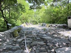 -阳台山自然风景区