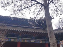 -碑林公园