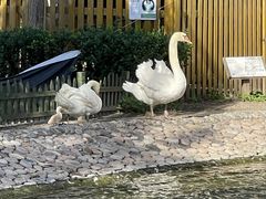 -北京市海淀外国语实验学校