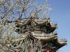 -颐和园