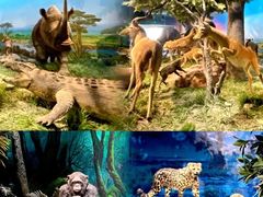 -国家自然博物馆