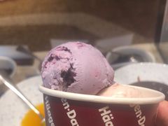 -常德武陵天济喜来登酒店-盛宴餐厅