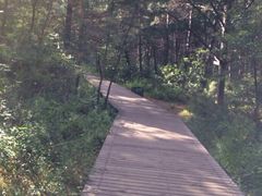 -帽儿山国家森林公园