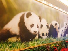 -成都驻京办餐厅(蜀都宾馆店)