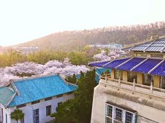-武汉大学-樱园