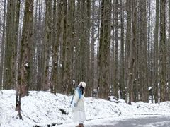 -山王坪喀斯特国家生态公园