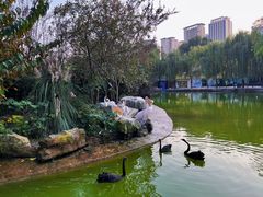 -成都动物园