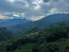 -石台牯牛降景区