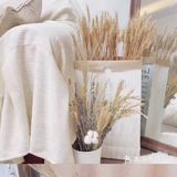 好好留了几天时间呆在家里