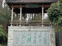 -千岛湖东南湖区