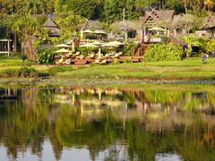 -四季酒店下午茶