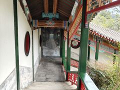-重庆园博园