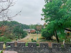 -小湾茶楼