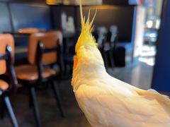 -bluefrog蓝蛙(水游城店)