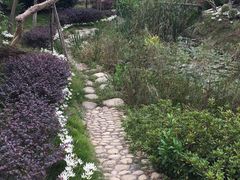 -武汉紫薇都市田园