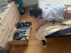 -宠物世家(仲盛世界商城店)