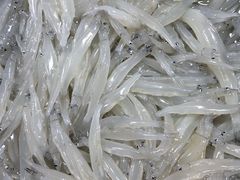 -都斛海鲜街