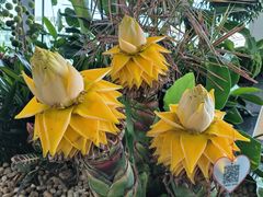 -惠丰源烩面馆(经七路店)