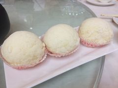 -黄埔华苑酒家(黄埔总店)