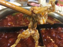 -大龙火锅(老店)