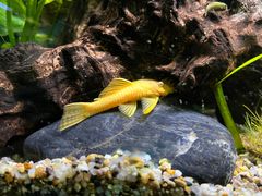 -上海海洋水族馆