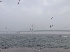 -星海广场