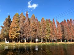-捞渔河湿地公园