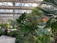 -南宫五洲植物乐园