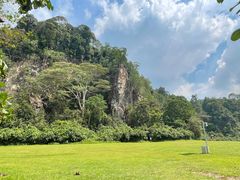 -武吉知马自然保护区