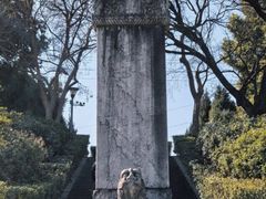 -邓愈墓