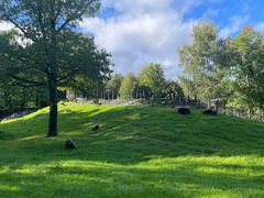 -挪威文化史博物馆