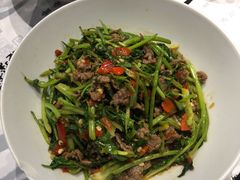 香菜炒牛肉-壹盏灯(惠农店)