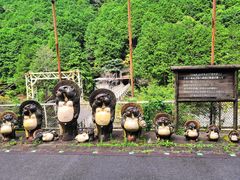 -岚山嵯峨野观光小火车