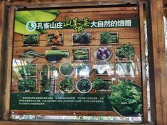 -西双版纳原始森林公园