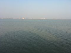 景点-大湾区中央湿地公园