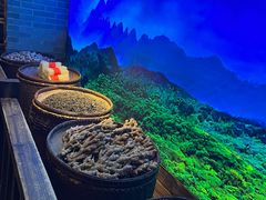 -凤凰山斑鱼馆(恭城店)