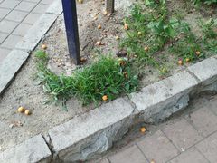 -吉林大学(南岭校区)