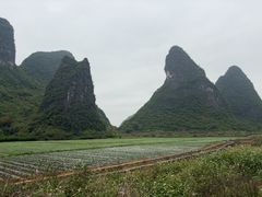 -钟山水墨田园