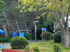 -小南山公园