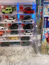 -卡通尼·Safari非洲探索乐园·生日会(金桥国际商业广场店)