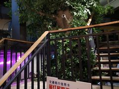 -靓蛙馆
