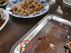 -双新垂钓园