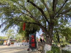 -大槐树寻根祭祖园